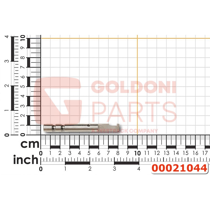 00021044 ASTA COM.DO FORCELLA PDF GOLDONI