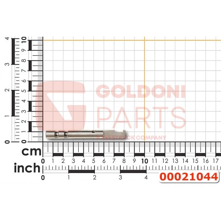 00021044 ASTA COM.DO FORCELLA PDF GOLDONI