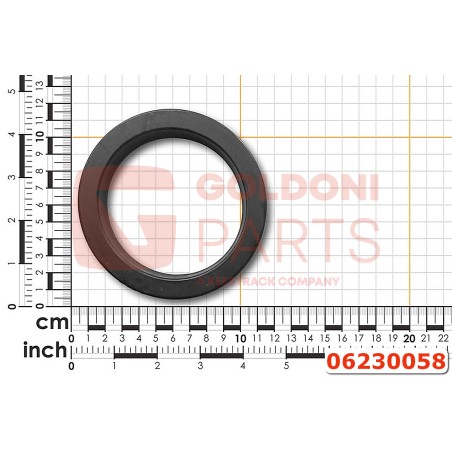 06230058 ANELLO UM 65X85X10/8565 GOLDONI