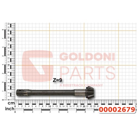 00002679 PIGNONE CONICO GOLDONI