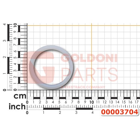 00003704 ANELLO PARAPOLVERE GOLDONI