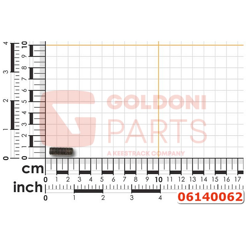 06140062 VITE STEI M 6X16 59 GOLDONI
