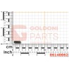 06140062 VITE STEI M 6X16 59 GOLDONI