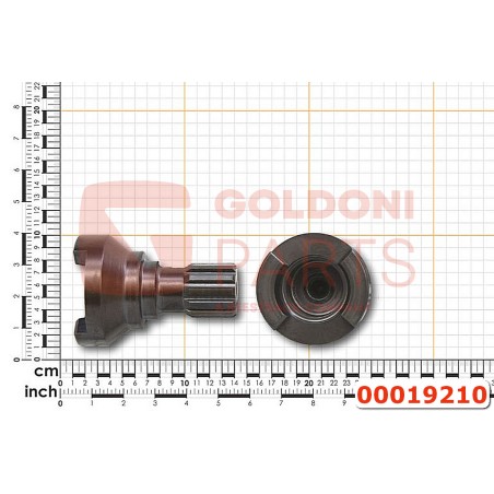 00019210 ALBERO INNESTO FRONT.MM.5 GOLDONI