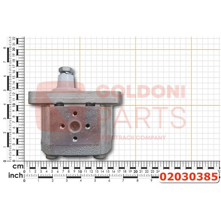 02030385 POMPA IDR.2P 4D GOLDONI
